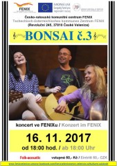 Bonsai 16. 11. 2017