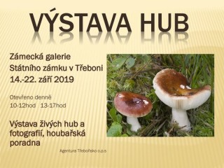 Výstava hub 2019