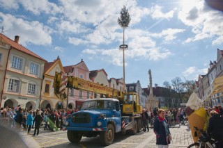 Stavění májky v Třebon na Masarykově náměstí