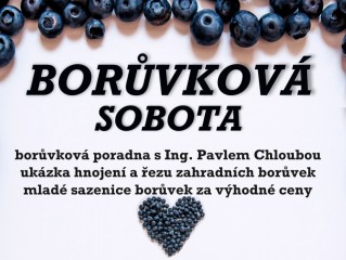 Borůvková sobota  v Borovanech